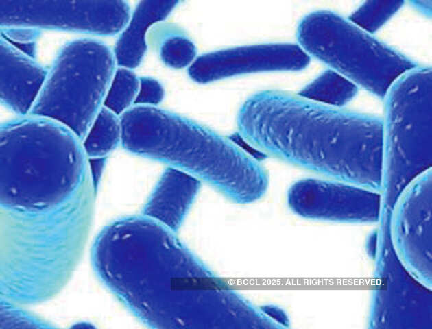 Germ theory: How brands selling probiotic products are flying off the shelves