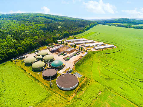 Soon, Nafed to set up 100 facilities to convert farm waste to bio-CNG