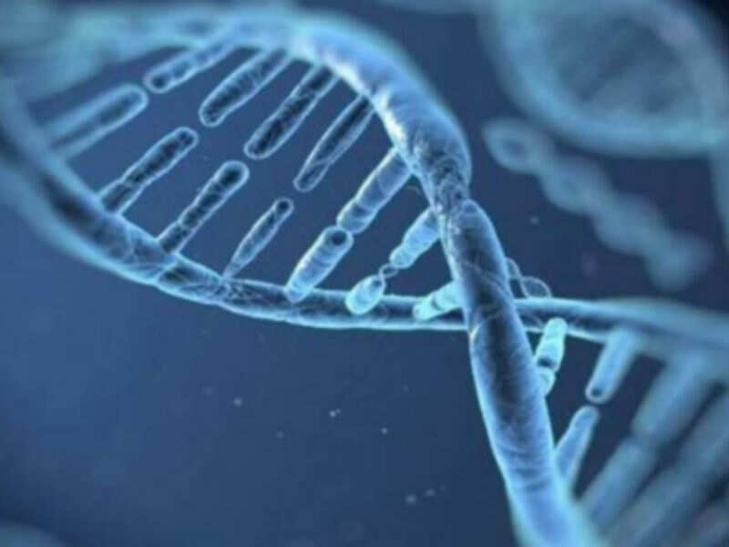 Night shifts may cause DNA damage: Study