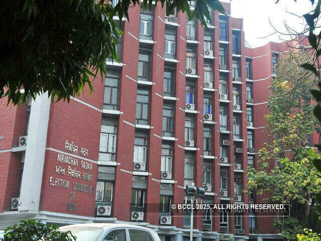 Election Commission seeks ban on online political ads 48 hrs before elections