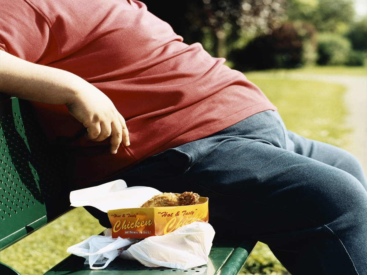 Treatment for obesity, fatty liver disease in the offing