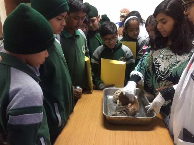 Health integrated education program for students