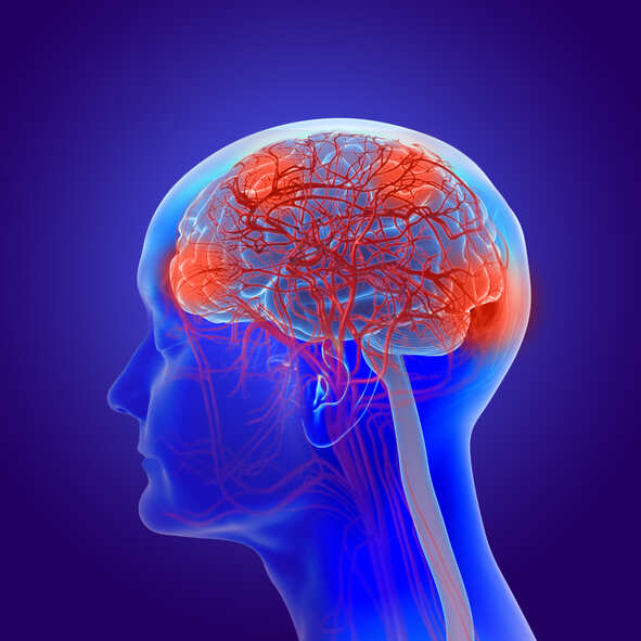 Liver drug may slow Parkinson's progression