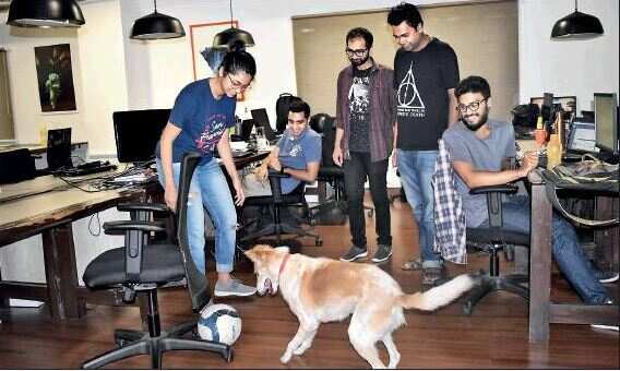 Here you can bring your dog to work, and mark no attendance