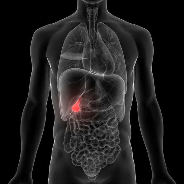 Chandigarh: Now, get ‘scarless’ removal of gall bladder stones at PGI