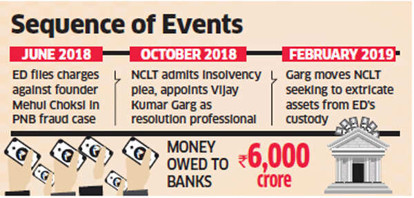 Resolution Professional contests ED’s seizure of Gitanjali Gems’ assets