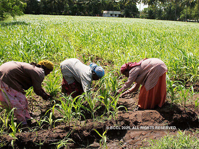 AgroStar raises $27M funding led by Bertelsmann India