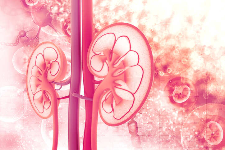 Chronic kidney disease becoming rampant in Tamil Nadu, doctors say
