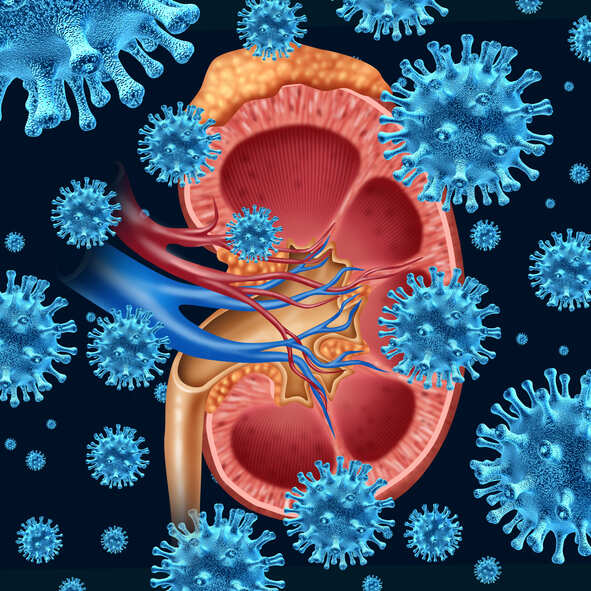 Nagpur: Nephrologists call for central policy to tackle kidney diseases