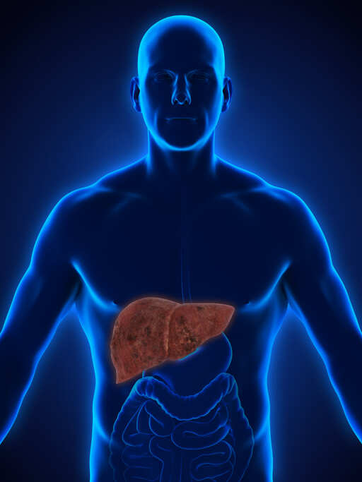Research identifies new drug for treating liver diseases