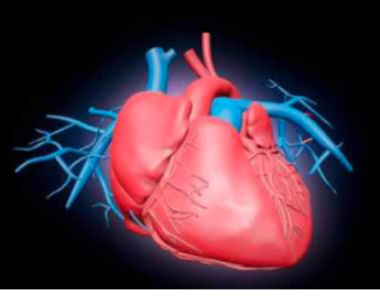 Advanced super-special interventional methods vie for attention in cardiac space : Dr.Haresh Mehta