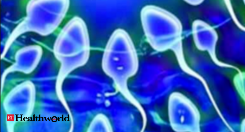 Damage to sperm DNA can lead to repeat miscarriages : study