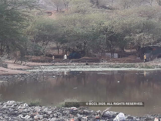 Kolkata: Vacant plots in Salt Lake turn garbage dumps