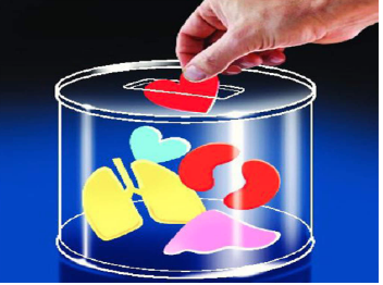 US begins organ transplants from living donors who have HIV