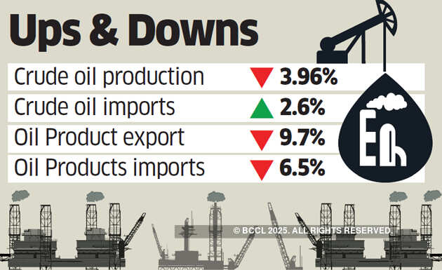 Domestic crude output shrinks 4%  in 11 months