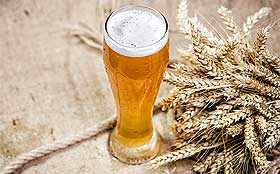 FSSAI provides relief to craft breweries on yeast content