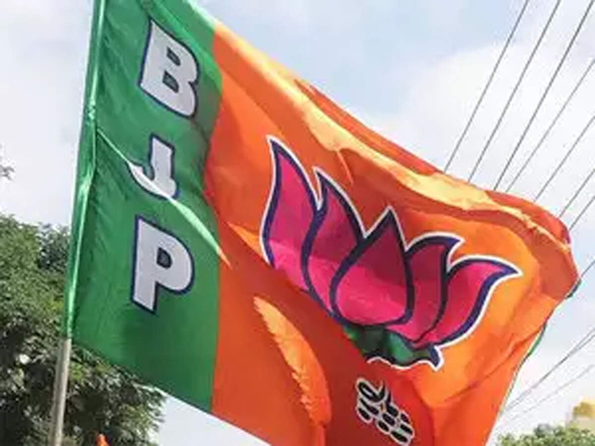 BJP leads political blitz space with 53% ad share