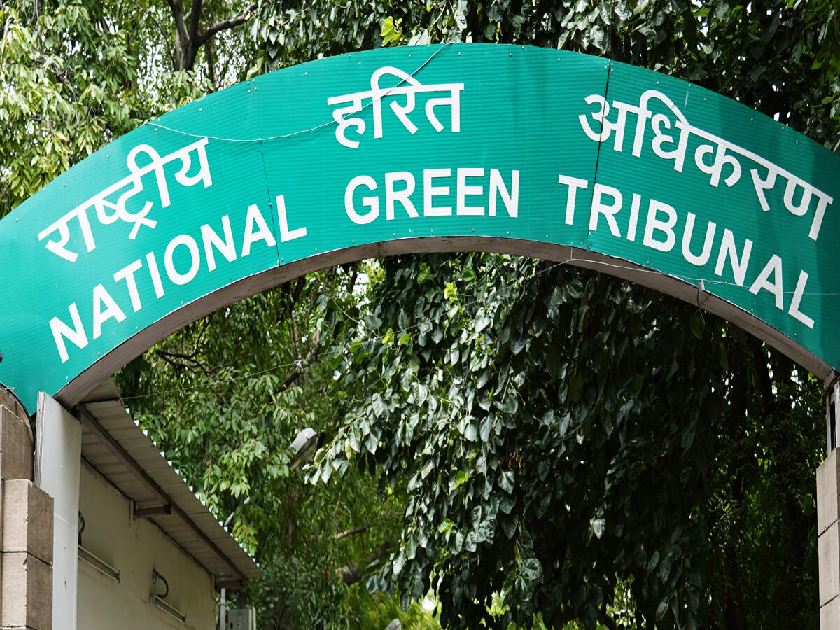 NGT directs CPCB to decide on Ghaziabad brick manufacturer's plea