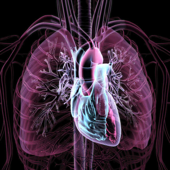 Lucknow: Minimally invasive valve replacement begins at SGPGI