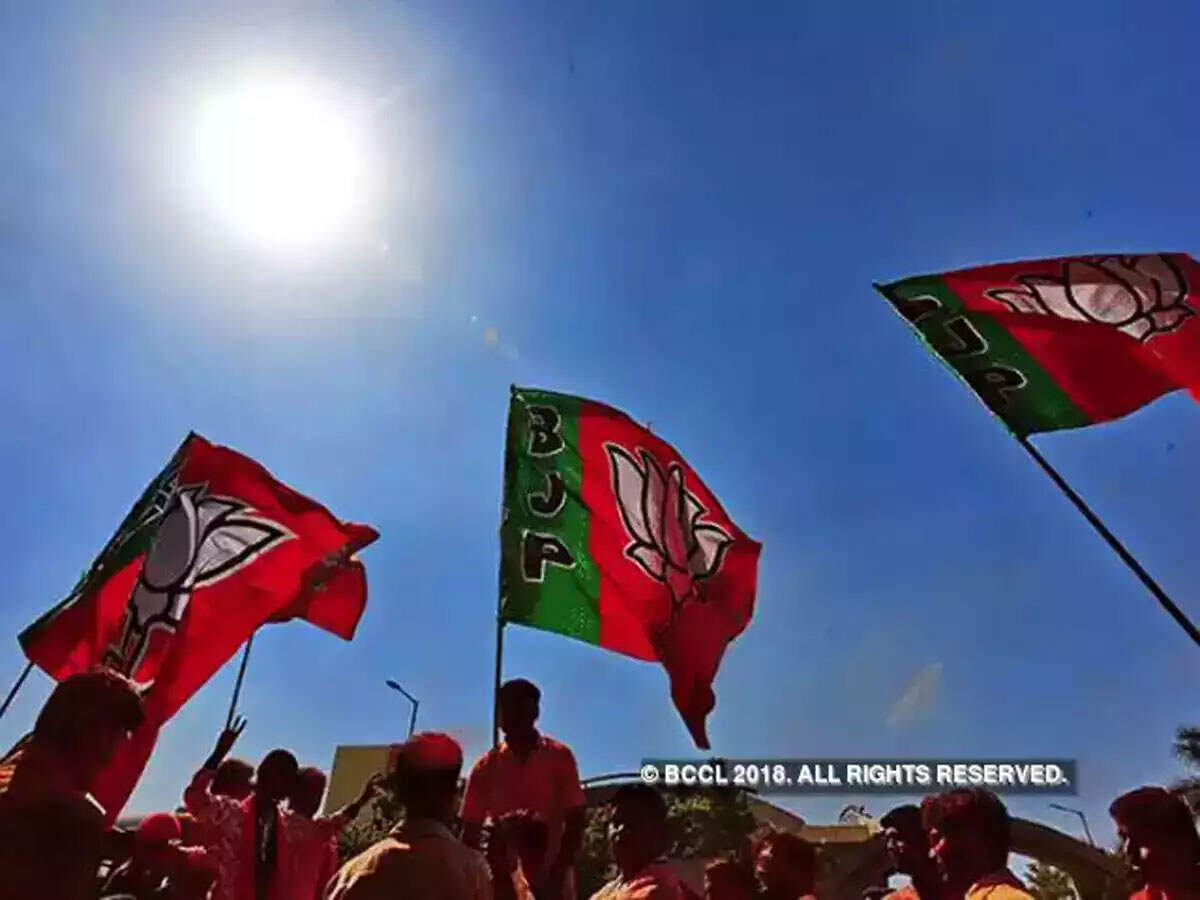 BJP's 'Chowkidar' campaign a hit on social media