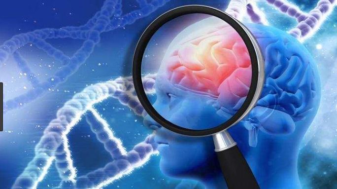 Research finds anti-inflammatory drugs futile against the prevention of Alzheimer's disease