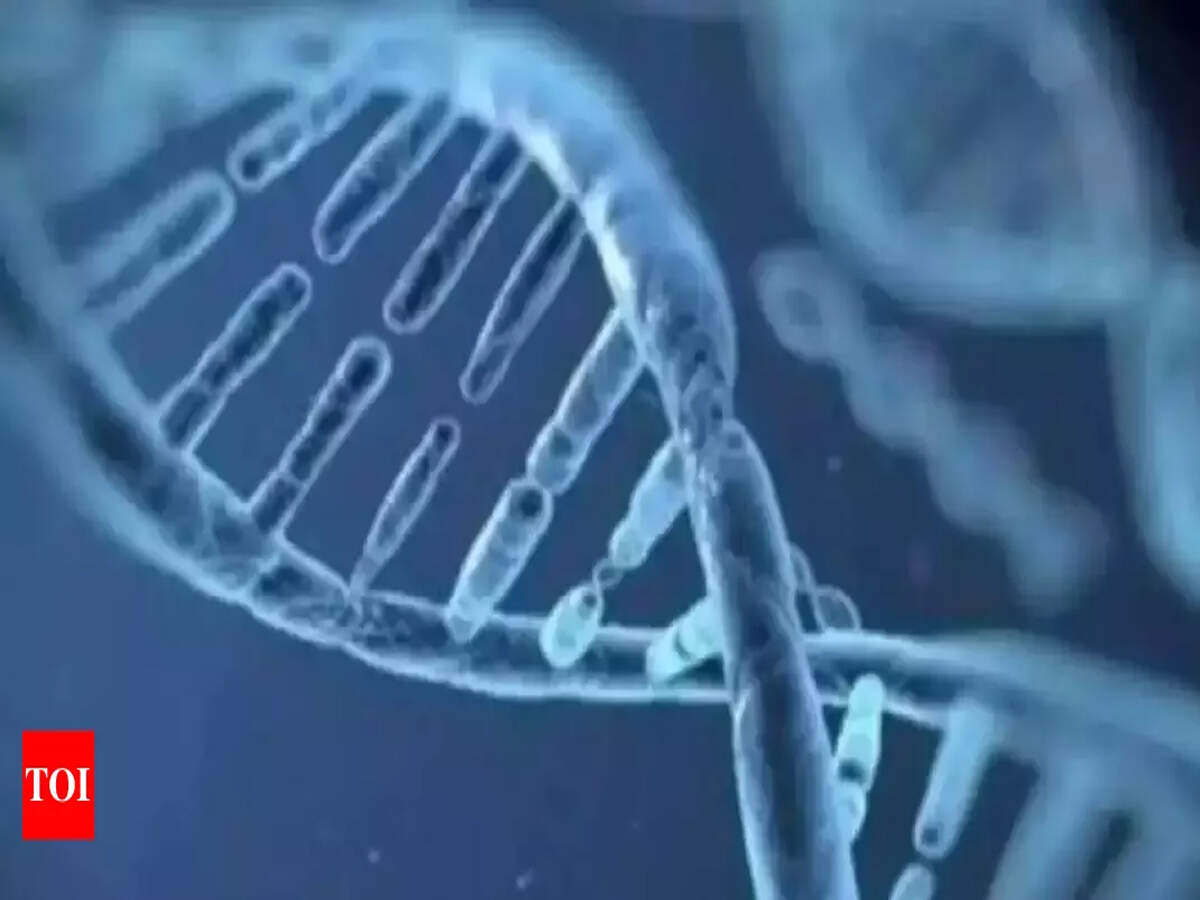 Poverty leaves a mark on genes: Study