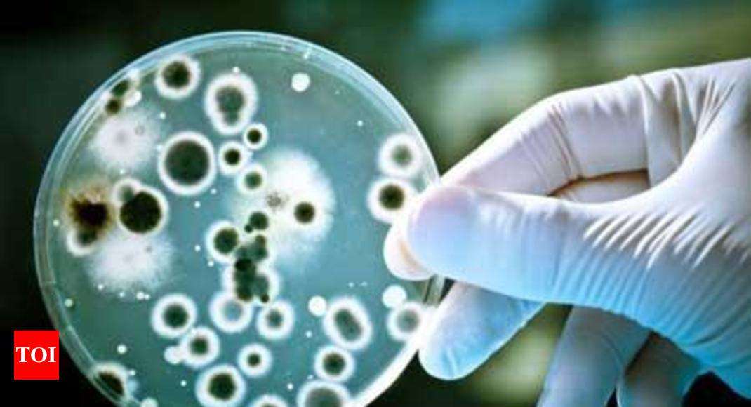 Privacy curtains could be reservoir of deadly bacteria: study