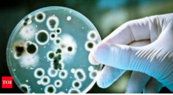 Chennai team develops device to test antibiotic resistance in just 6 hours