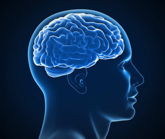 Gender identity leaves imprint on human brains: Study