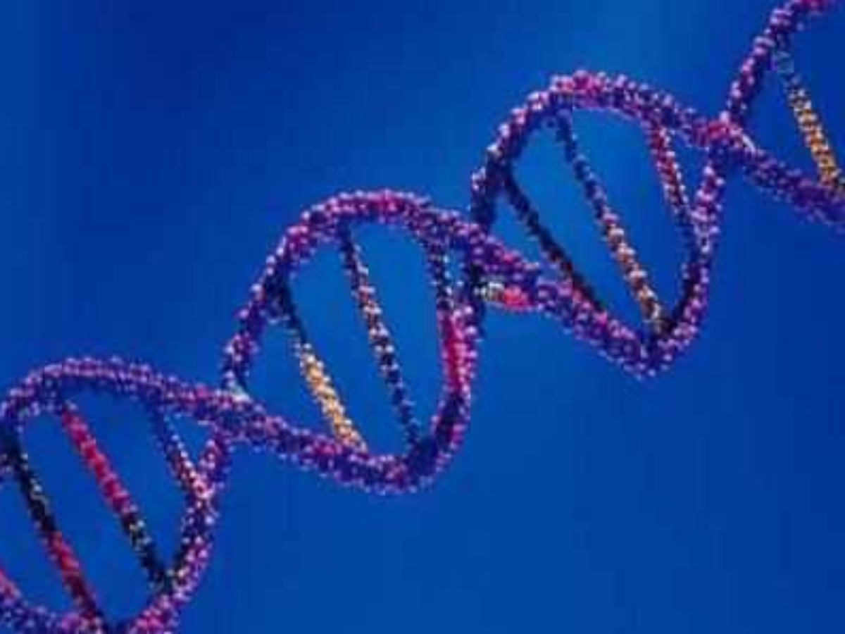 Genetic variants that protect against obesity could aid new weight loss medicines: research