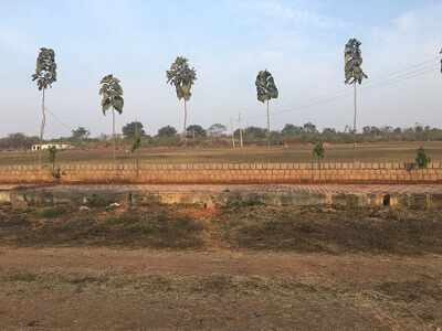 Hyderabad: Government looks the other way as politicos grab over 680 acres
