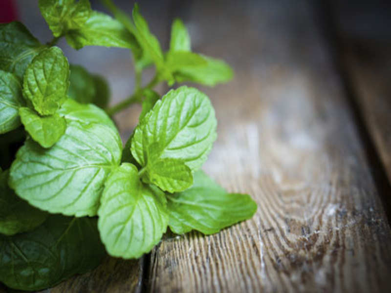 Peppermint helps people with non-cardiac chest pain; difficulty swallowing: study