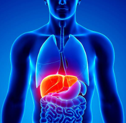 Zinc oxide supplements may prevent fat build up in liver: IIT study