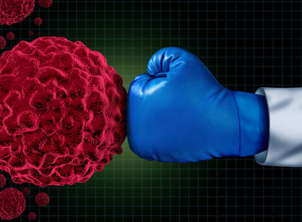 Right combination of diet and bacteria limits cancer progression: Study