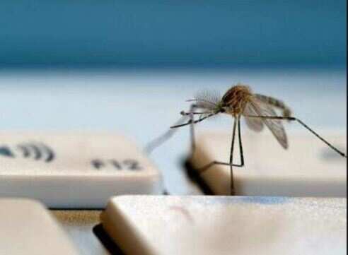 FDA approves first vaccine for dengue, but limits its use