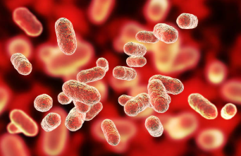 China reports nearly 1 million cases of occupational diseases