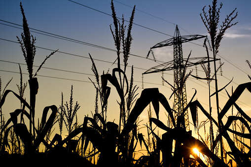 Punjab government clears Rs 8,949 crore power subsidy bill for last fiscal