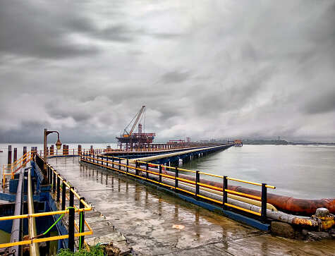 India restricts bio-fuel imports