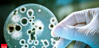 New compound which kills antibiotic resistant superbugs discovered