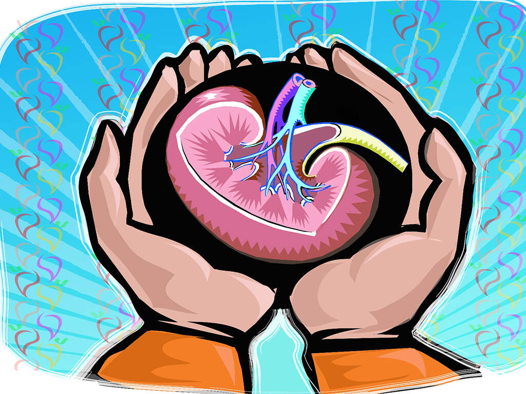 Man loses kidney, doctors told to pay Rs 5 lakh
