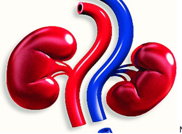 Thiruvananthapuram : Dialysis units in all taluk hospitals