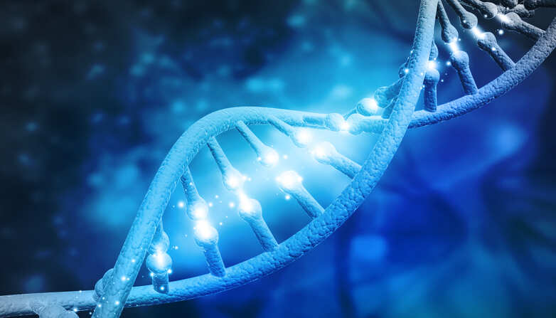 Rogue Chinese scientist made 'foolish' choice in gene-edited babies