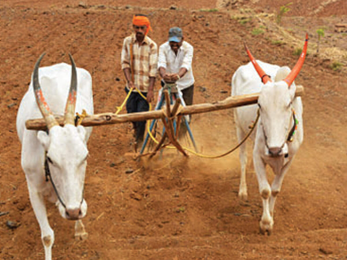 Maharashtra govt mulls power sop for farmers ahead of assembly elections