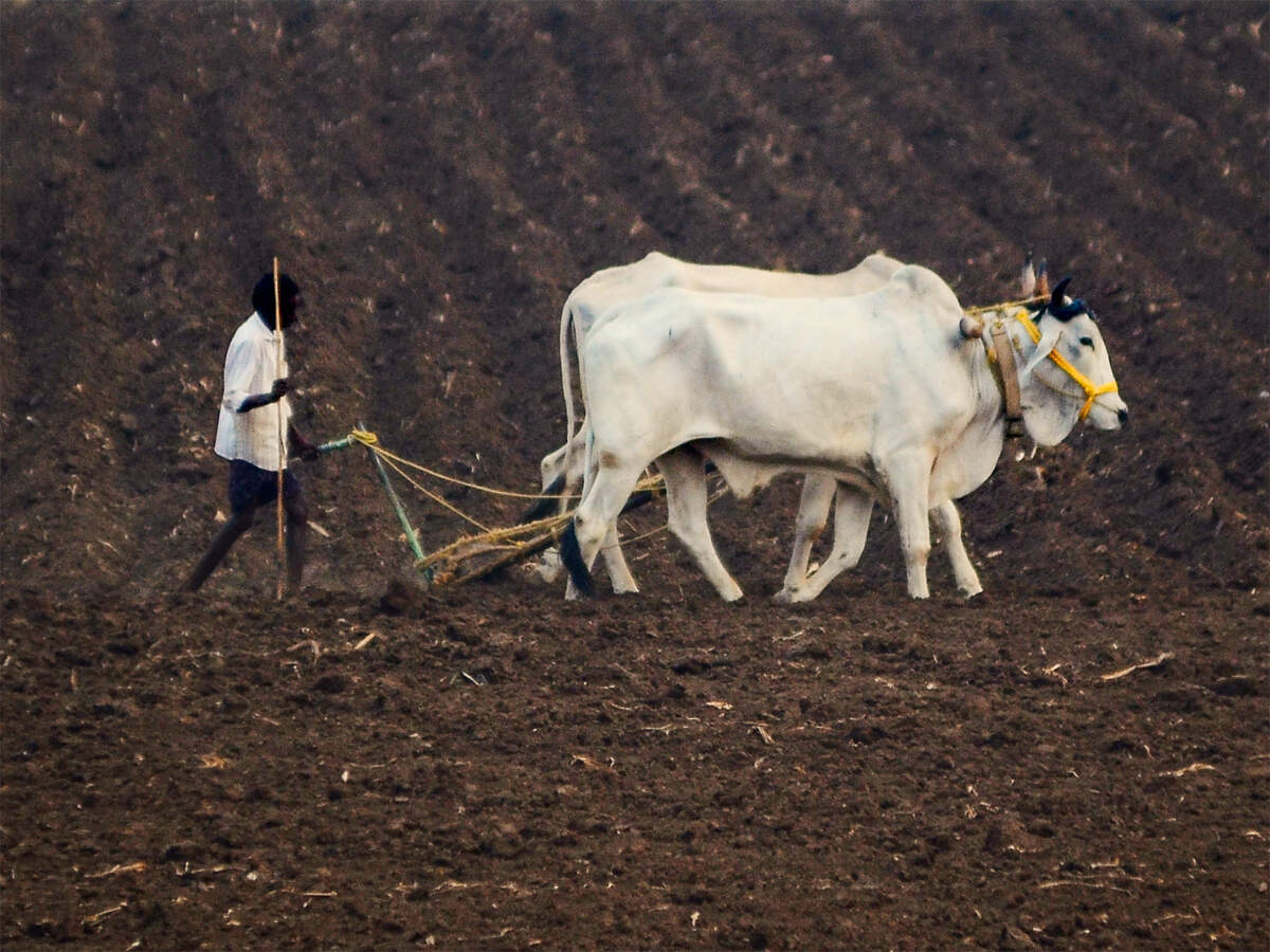 Govt planning e-registration for PM KISAN to speed up implementation