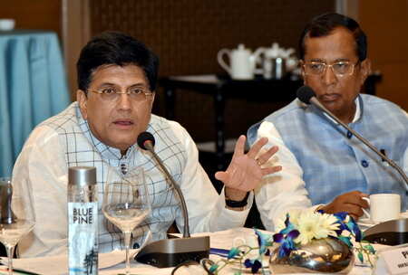 No global e-tail rules till data issues resolved: Goyal