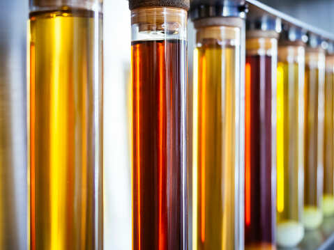 INNOVATION: Scientists develop green technology to replace petrol-based polyol