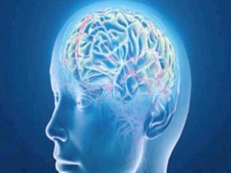 Scientists find new target for Parkinson's disease