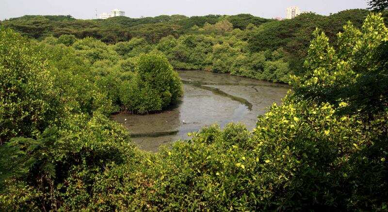Exhibition city a carbon neutral project: Kerala housing board
