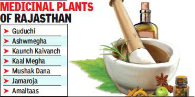 2,000 medicinal plants in endangered species: Experts