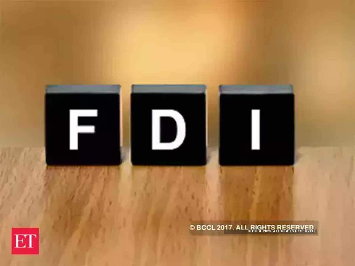 Panel formed for clarification on issues related to FDI in e-commerce